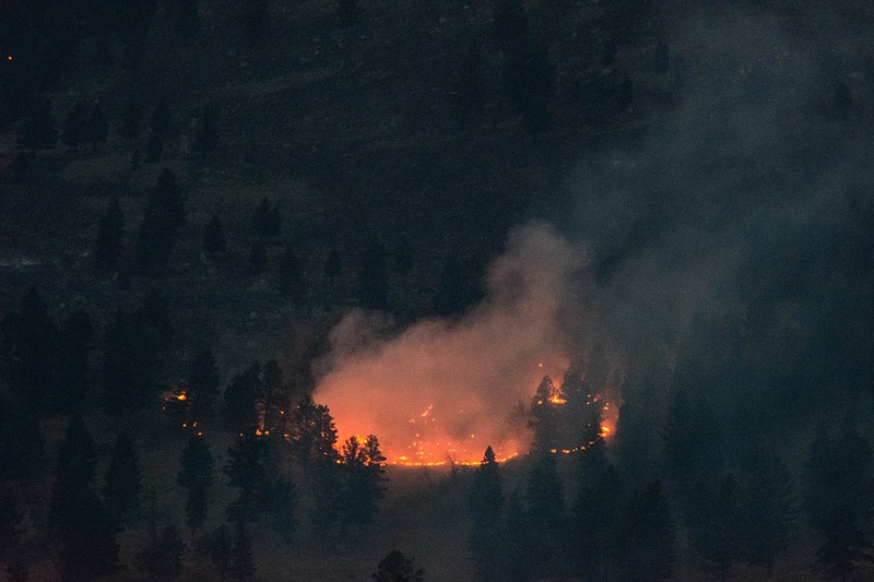 Part of the Buffalo Fire burning near Tower Junction on way back from Lamar Valley.