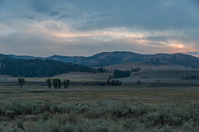 View south of Lamar Valley