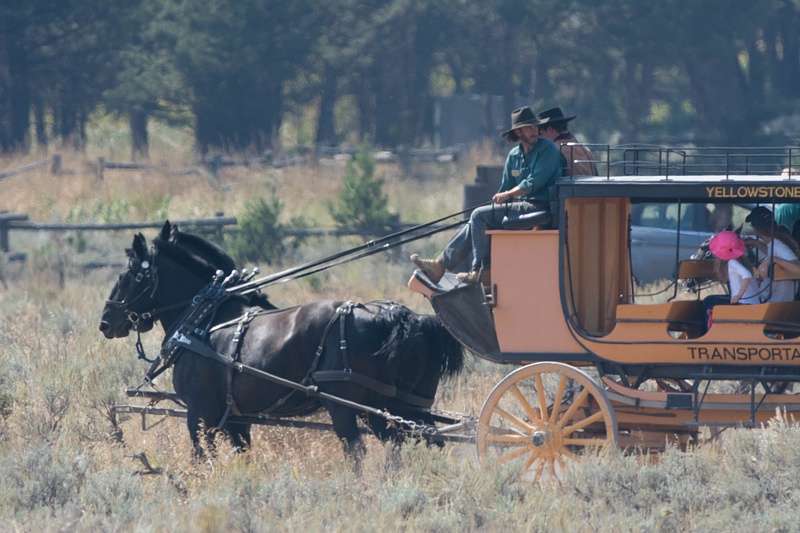 Heading out on a stagecoach ride from Roosevelt Junction