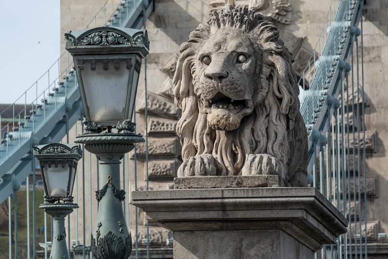 Lions of the Széchenyi Chain Bridge