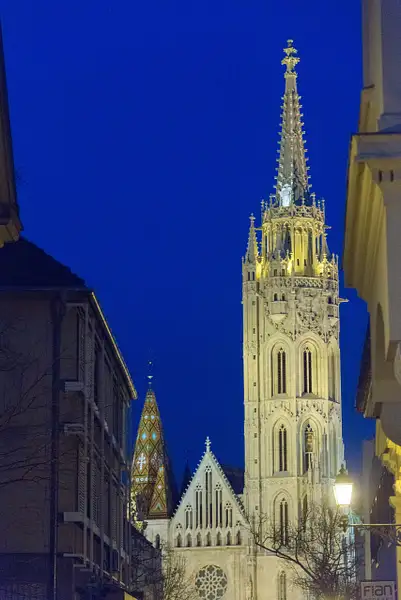 A little telephoto action for the Matthias Church...