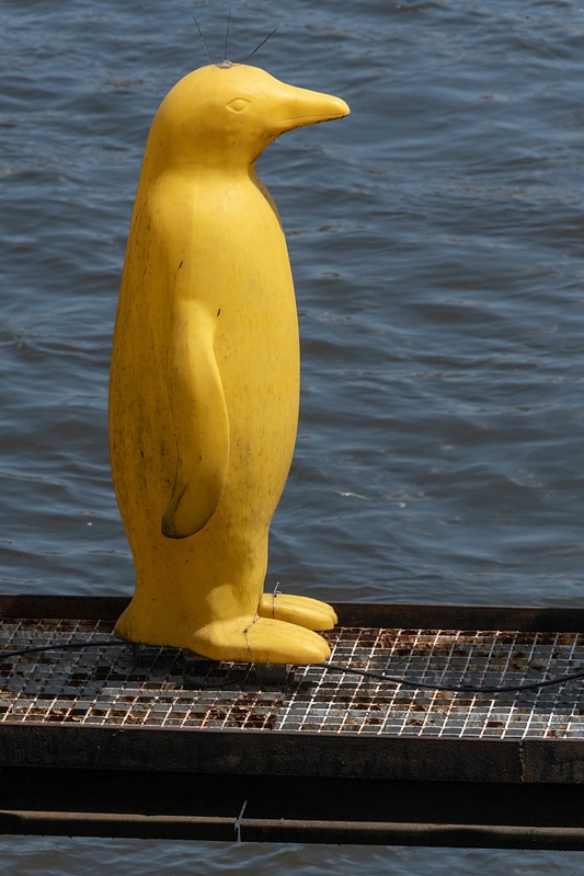 Yellow penguin up close. Now I find that these are lit at night. Darn!!!