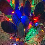 2017Nov Ethyl M Cactus Garden Holiday Lights LV NV
