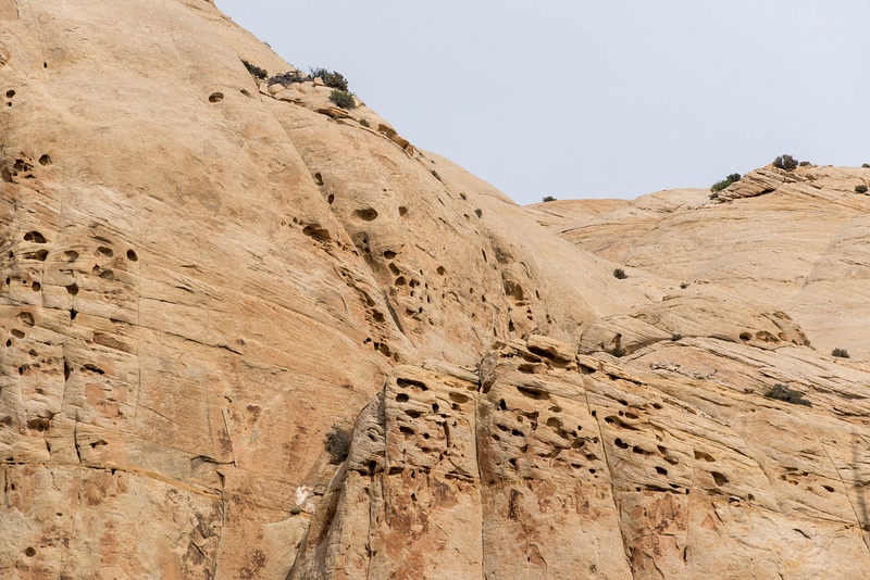 Wind eroded cavities in the sandstone cliffs.