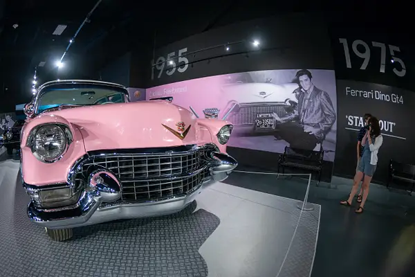 The pink 1955 Cadillac Fleetwood head shot. by Willis...