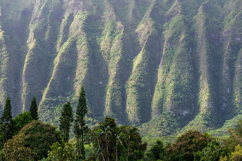 More detailed views of the muscular ridges in the sides of the Koolau Mountains.