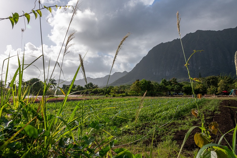 Looking to the west along the Koolau Mountains.