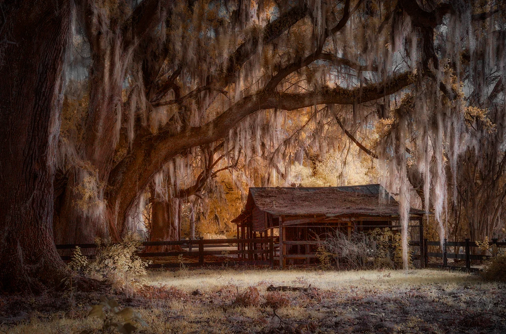 Barn house