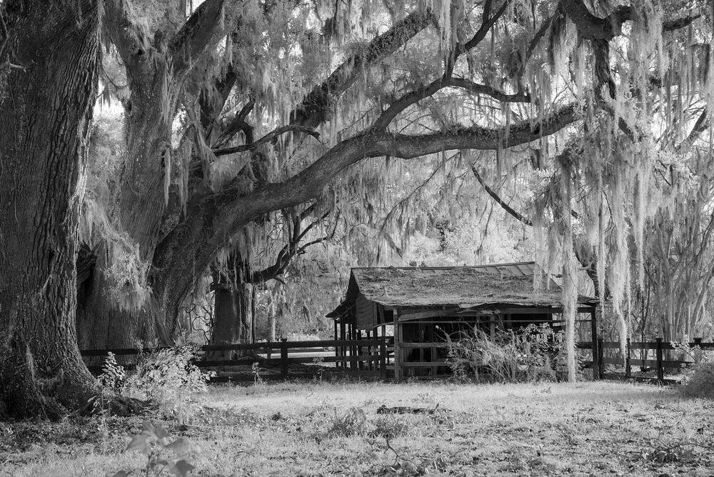 Black and White