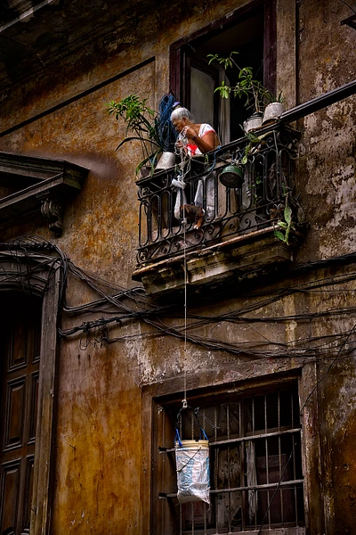A person retrieving groceries from a basket on a balcony in an urban setting.