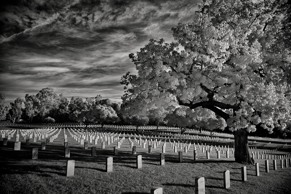 IR_Black_n_white_LA_veterans_cemetery_190201_019__IR_FINAL