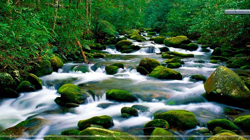 Roaring-Fork-River-Great-Smoky-Mountains-Tennessee