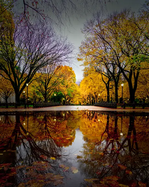 rainy day walk in Central Park by Deb Salay