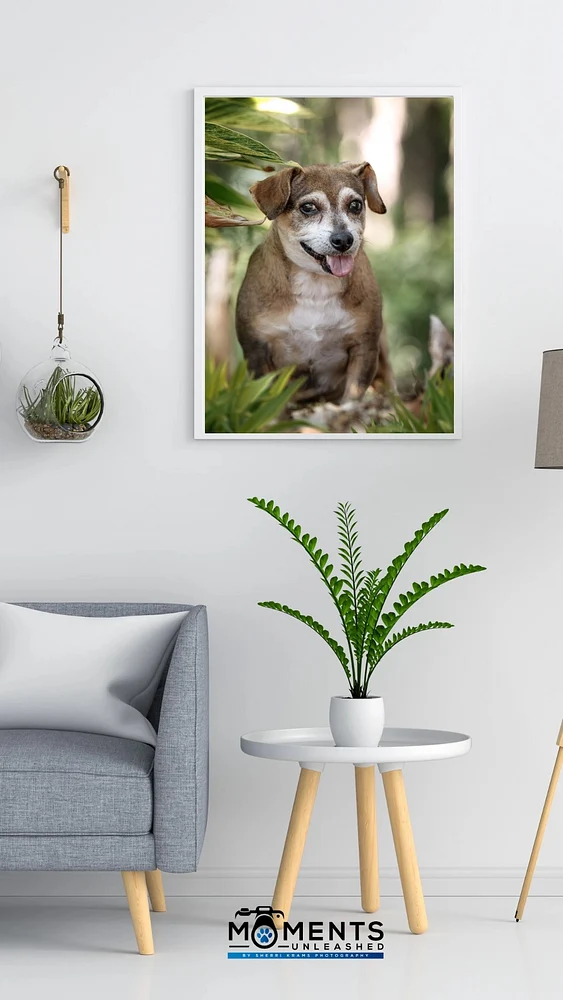 Senor Dog portraits framed on wall