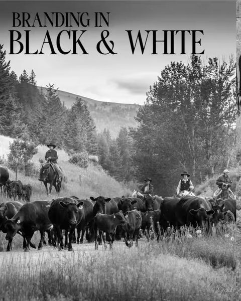Branding in Black&amp;White - Ranch Life - Grateful Journeys Photography
