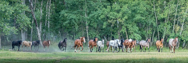 Coming Home - Homepage - Grateful Journeys Photography