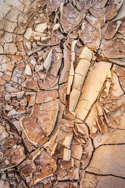 Cracked-mud-patterns-2,-Badlands-National-Park,-South-Dakota,-USA - IAN PLANT