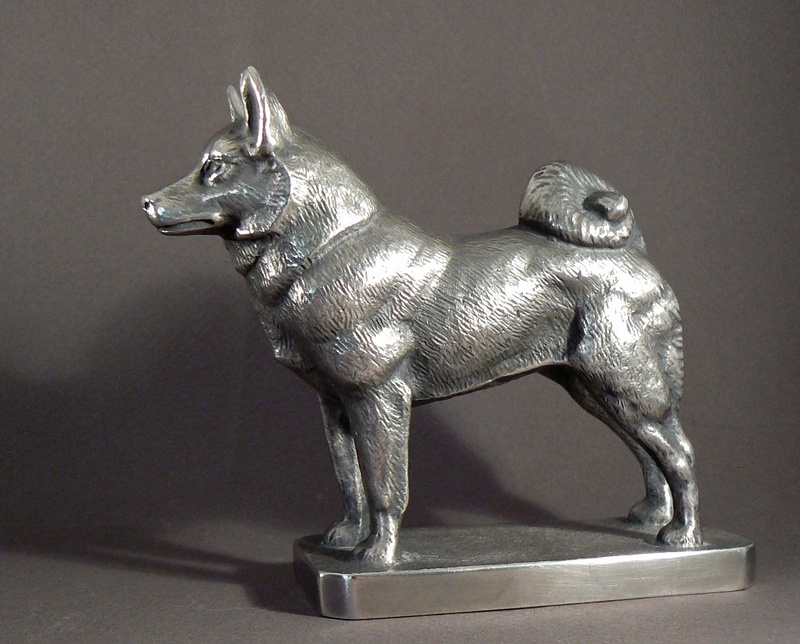 Silver Elkhound/ Akita
