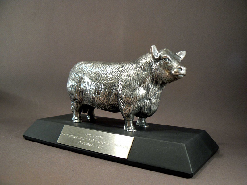 Silver Aberdeen Angus Bull