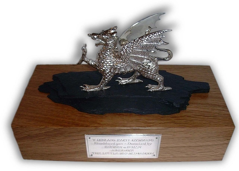 Sterling silver Welsh Dragon