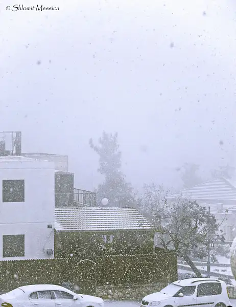 שלג בצפת- ינואר 2015 by ShlomitMessica by...