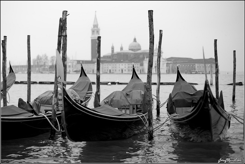 Venice-1-505