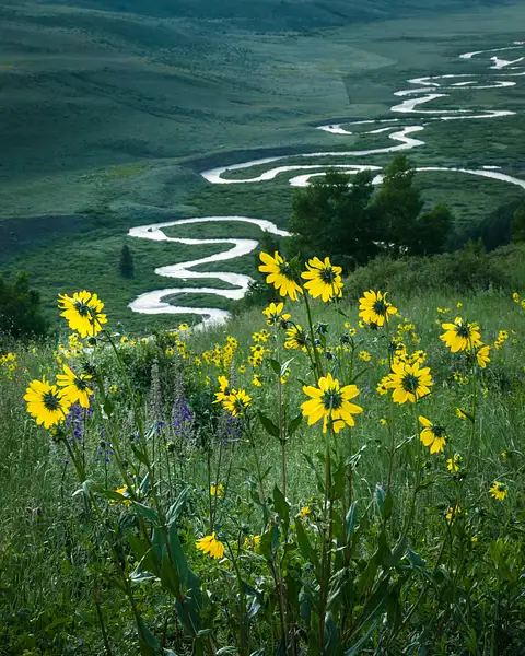 Summer in Crested Butte by Nat Coalson