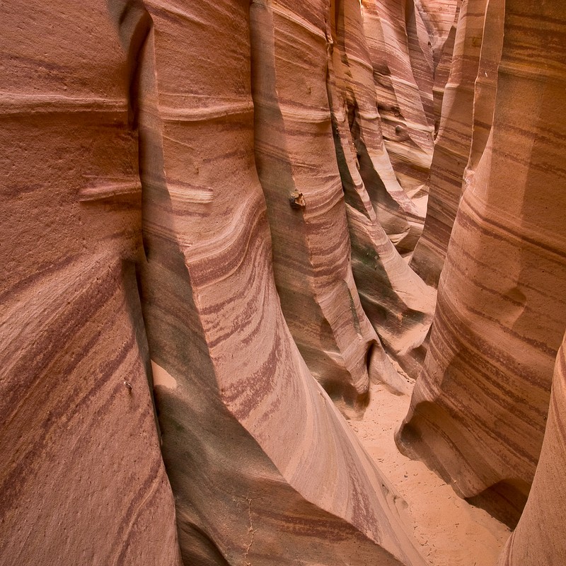 Arid Lands