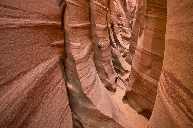 Arid Lands