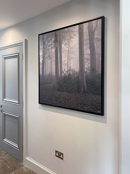 Nat Coalson - -11.jpg - In-Situ - Nat Coalson