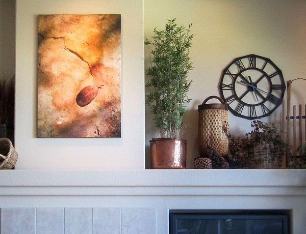 Nat Coalson - -41.jpg - In-Situ - Nat Coalson