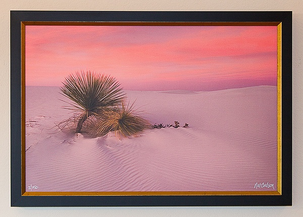 Nat Coalson - -44.jpg - In-Situ - Nat Coalson
