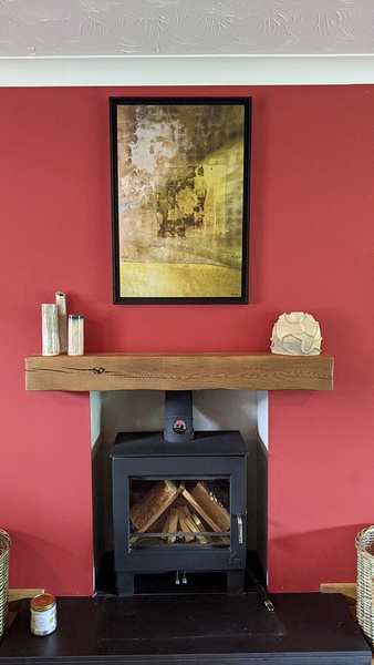 Nat Coalson - -4.jpg - In-Situ - Nat Coalson