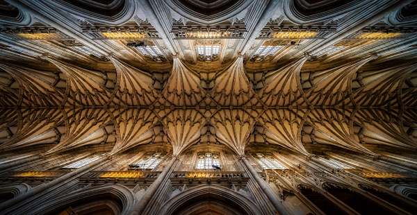 Winchester Cathedral Ceiling, Winchester, England - JakubBors