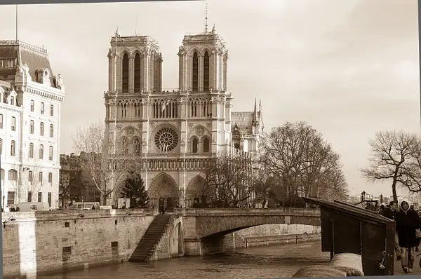 Notre Dame (alt) by DanGPhotos