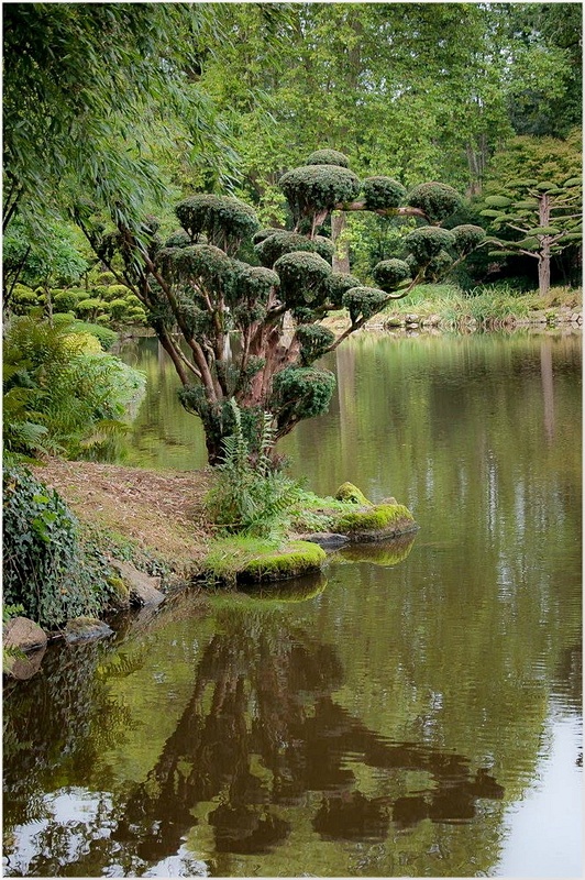 Oriental Park Maulevrier