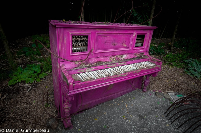 Piano dans la forêt