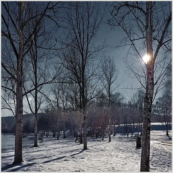 Winter Scene by DanGPhotos