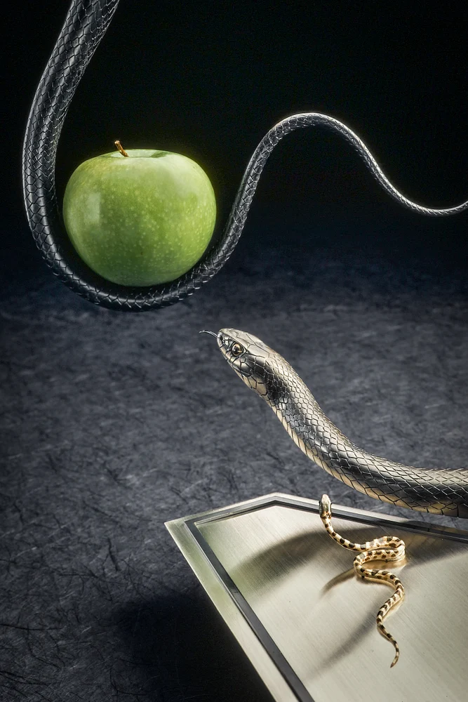 Temptation