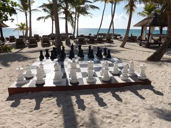 Chess_Anyone!!! by flipflopman