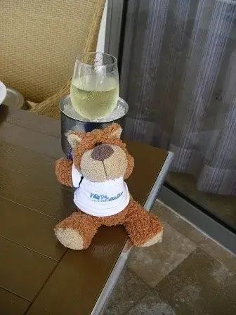 Cute bear and wine cooler by flipflopman