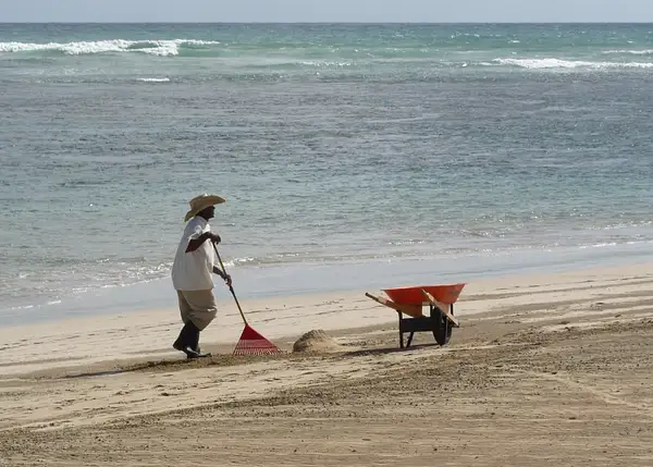 Beach Cleaning by flipflopman