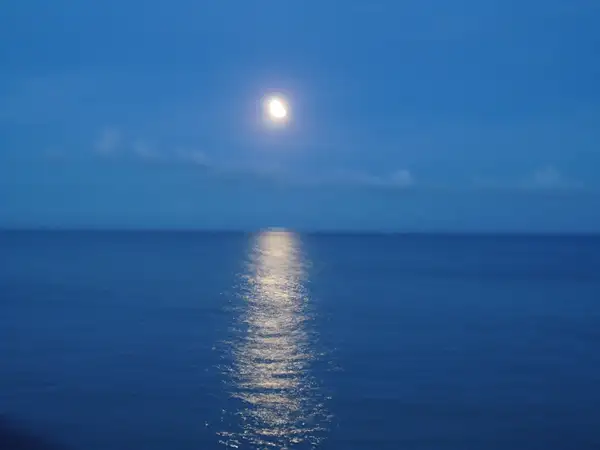 Lovely Moonlight by flipflopman