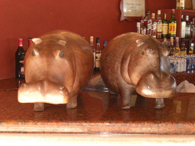 Hippos Galore