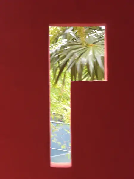 P is for Palm Tree by flipflopman