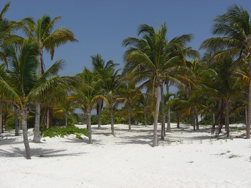 Beach Area and Grounds