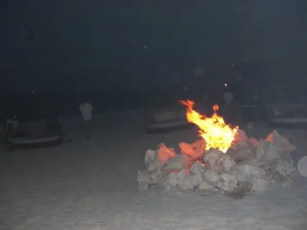 Bonfire Party by flipflopman