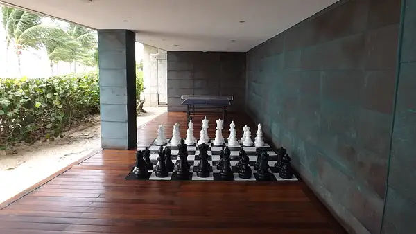 Chess Anyone!!! by flipflopman