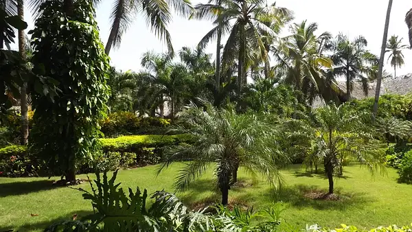 Tropical Gardens by flipflopman
