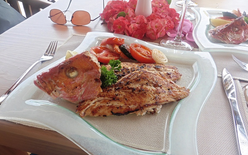 Red Snapper